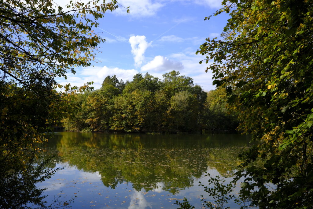 Insel in einem kleinen See fotografiert mit der Fujifilm x100vi